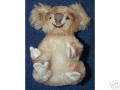 BEAR 019